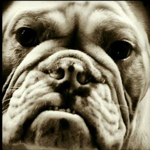 Meet your Posher, Ivan